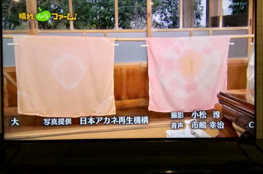【放映情報】NHK BSプレミアム「晴れ、ときどきファーム!」