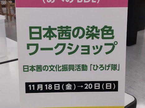 日本茜 産学連携活動 【ハルカス学園祭 2022.11.18～20】