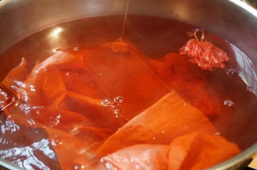 日本茜の染色講座 in 岐阜県岐阜市茜部【2025.10.25～26】